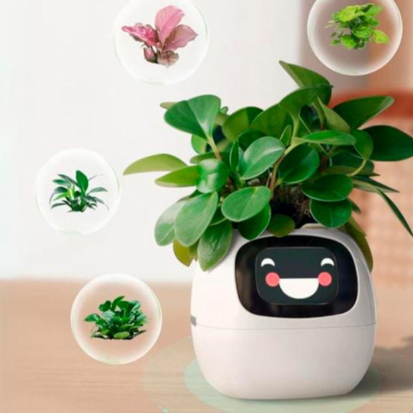 Ghiveci pentru flori Cute Pet Indoor Ivy Smart White / Plastic / Pe pervaz photo 9