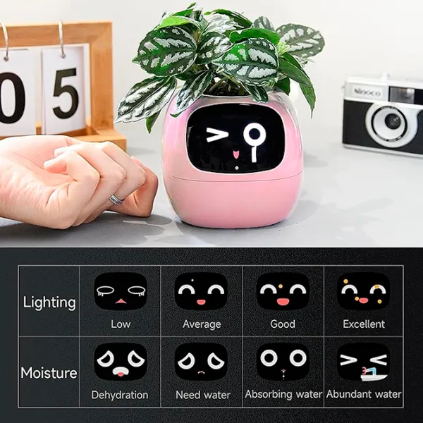 Ghiveci pentru flori Cute Pet Indoor Ivy Smart White / Plastic / Pe pervaz photo 10