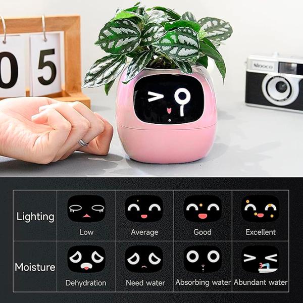 Ghiveci pentru flori Cute Pet Indoor Ivy Smart White / Plastic / Pe pervaz photo 10