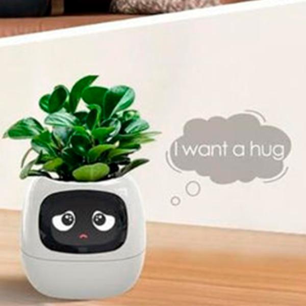 Ghiveci pentru flori Cute Pet Indoor Ivy Smart White / Plastic / Pe pervaz photo 11