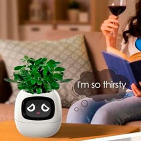 Ghiveci pentru flori Cute Pet Indoor Ivy Smart White / Plastic / Pe pervaz photo 12