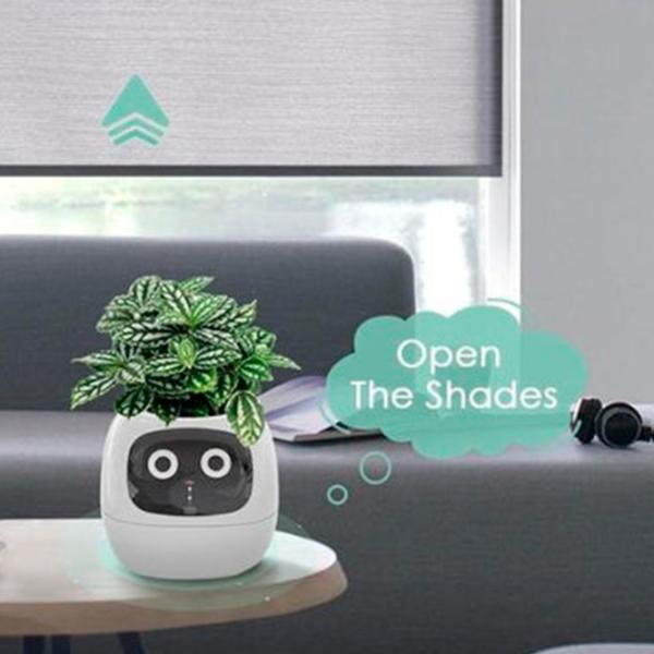 Ghiveci pentru flori Cute Pet Indoor Ivy Smart White / Plastic / Pe pervaz photo 14