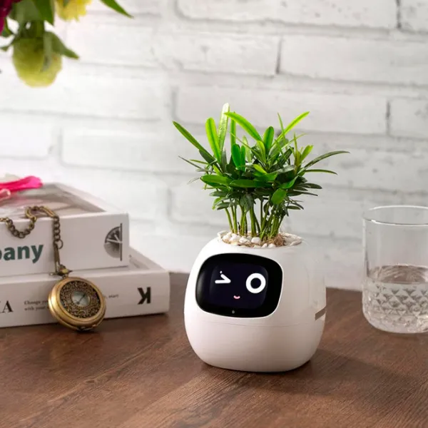 Ghiveci pentru flori Cute Pet Indoor Ivy Smart White / Plastic / Pe pervaz photo 15