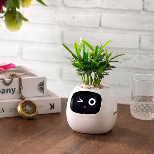 Ghiveci pentru flori Cute Pet Indoor Ivy Smart White / Plastic / Pe pervaz photo 15