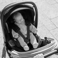 Детская коляска Chicco We 79885190000/ Cool Grey photo 10