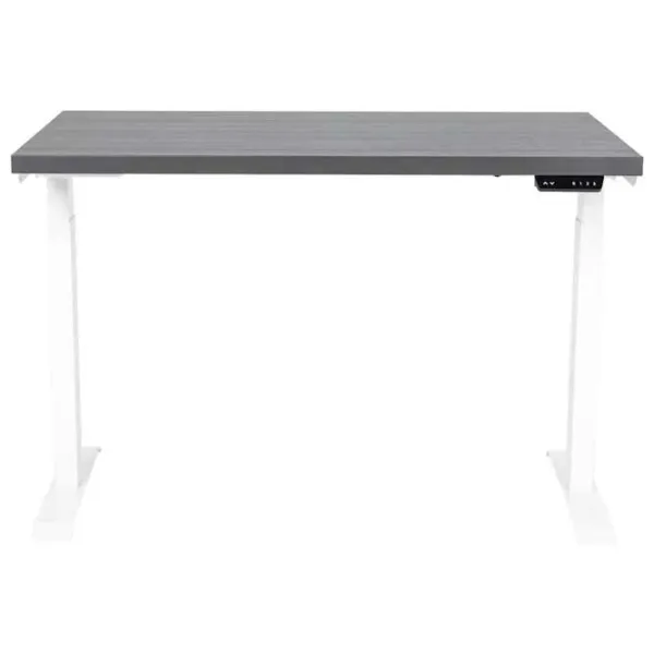 Masă de birou CUSTO FlexiDesk PAL/ Gray photo 1