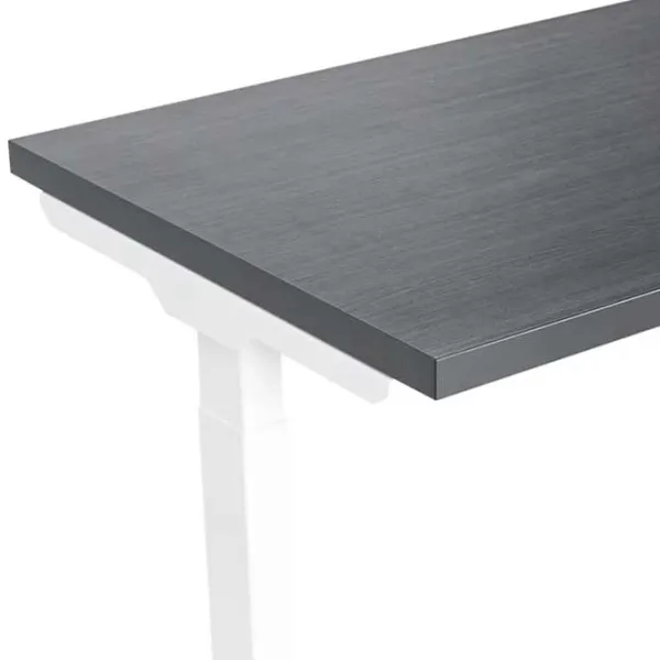 Masă de birou CUSTO FlexiDesk PAL/ Gray photo 2