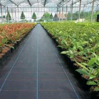 Agrotextil Ekspand 58867 Black photo 6