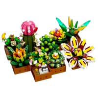 Constructor Richi Tichi Flori Clasic/ Green