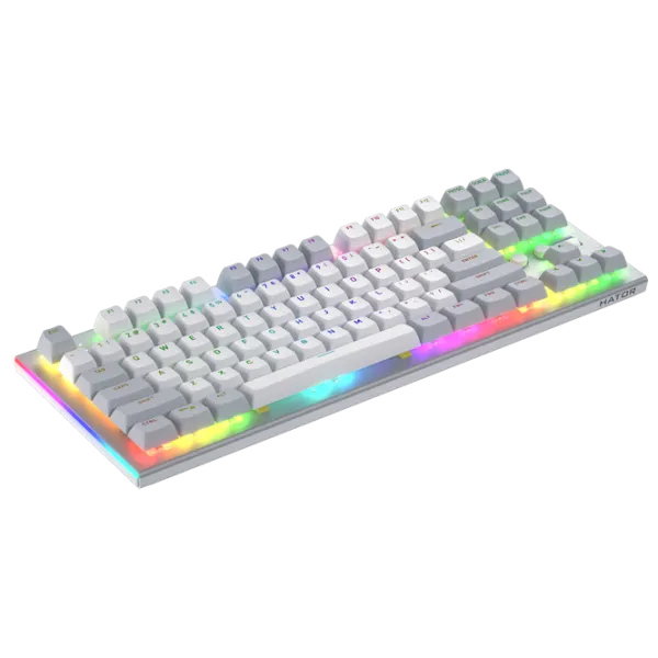 Клавиатура Hator Gravity TKL Проводная / Белый photo 4