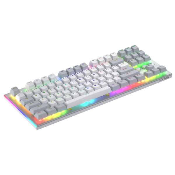 Клавиатура Hator Gravity TKL Проводная / Белый photo 4