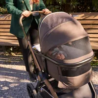 Люлька Chicco Mysa Light 8702732/ Bronze Lizard photo 4