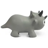 Jumper Caretero Dino (CT.222350) / Gray photo 2