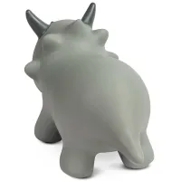 Jumper Caretero Dino (CT.222350) / Gray photo 5
