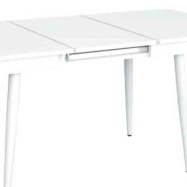 Masă de bucătărie extensibilă Evelin DT 432-1R WH PAL/ White photo 5