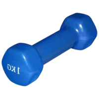 Ganteră Arena Sport А801  1 kg / Cantitatea în set - 1