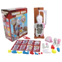 Joc educativ Richi Tichi The human body 3+/ Dezvoltare