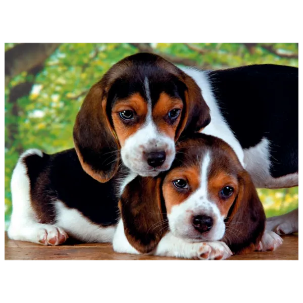 Puzzle Clementoni Close Together 8+/ Numărul de piese: 500 photo 1