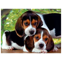 Puzzle Clementoni Close Together 8+/ Numărul de piese: 500