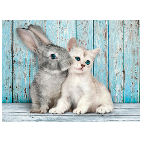 Puzzle Clementoni Cat and Rabbit 14+/ Количество деталей: 500 photo 1