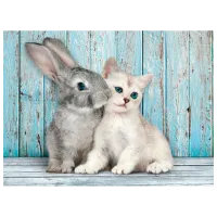 Puzzle Clementoni Cat and Rabbit 14+/ Количество деталей: 500