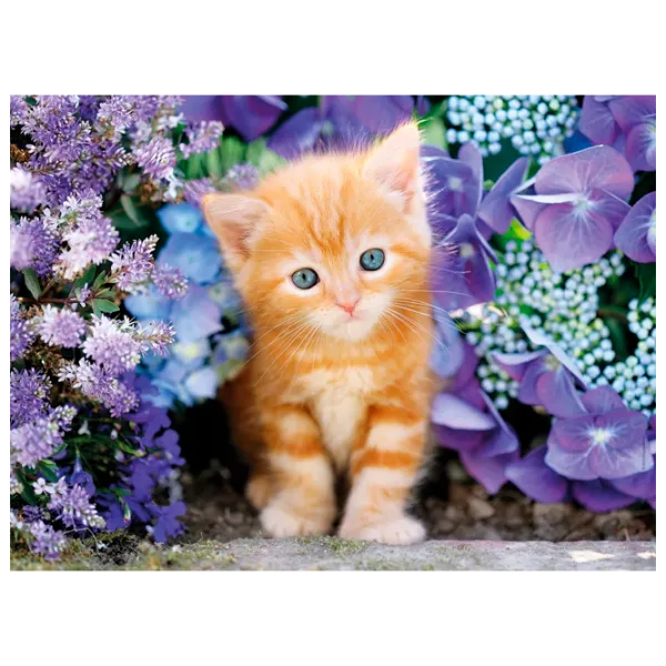 Puzzle Clementoni Ginger cat 10+/ Numărul de piese: 500 photo 1