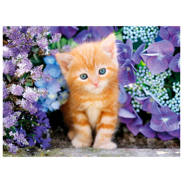 Puzzle Clementoni Ginger cat 10+/ Numărul de piese: 500 photo 1