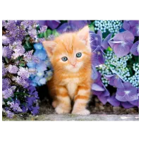 Puzzle Clementoni Ginger cat 10+/ Numărul de piese: 500