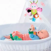 Jucărie zornăitoare pentru patuc Hoogar HG0104003 de la 6 luni photo 4