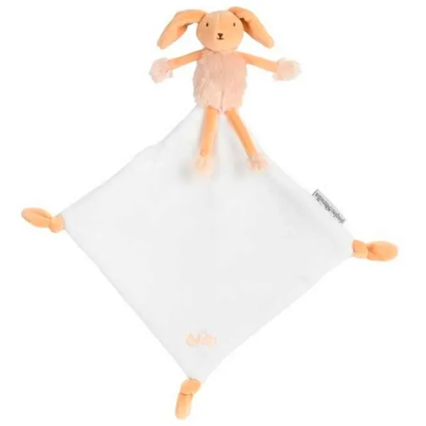 Jucărie zornăitoare Fisher-Price 16325 de la 3 luni photo 1