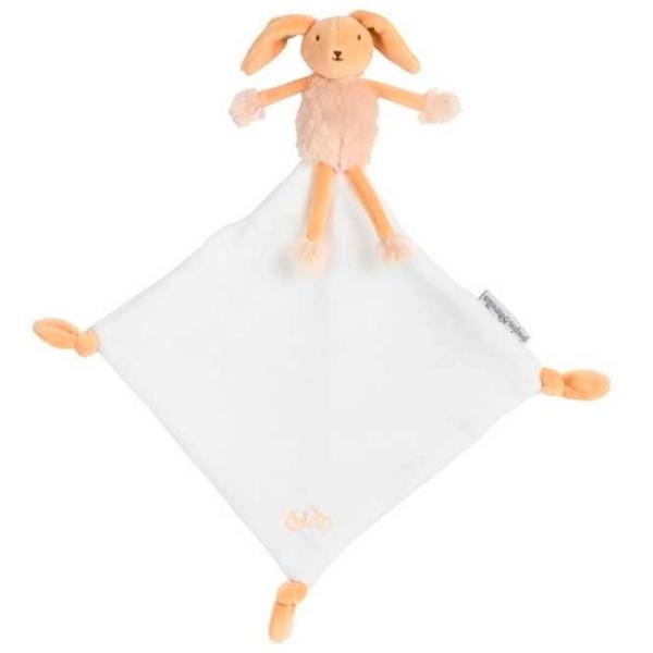 Jucărie zornăitoare Fisher-Price 16325 de la 3 luni photo 1