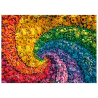 Puzzle Clementoni Whirl 9+/ Numărul de piese: 1000