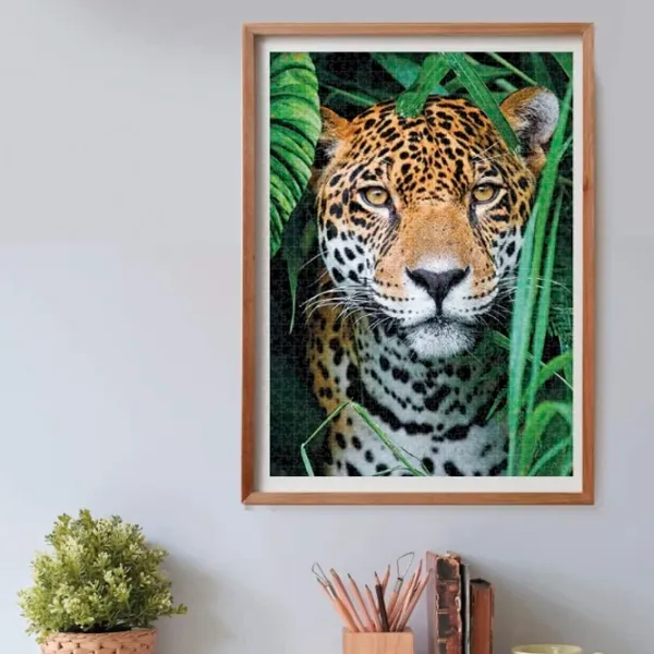 Puzzle Clementoni JAGUAR 9+/ Numărul de piese: 500 photo 3