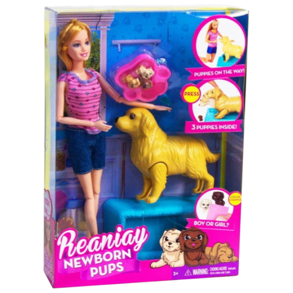 Păpușă ChiToys Reaniay CS699-13 model / 3+ photo 1