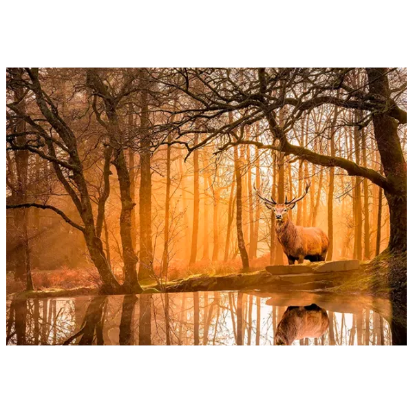 Puzzle Clementoni The Forest 9+/ Numărul de piese: 500 photo 1