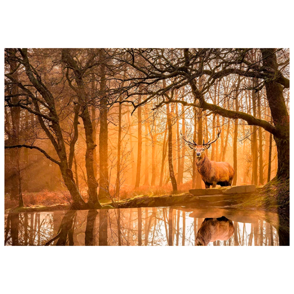 Puzzle Clementoni The Forest 9+/ Numărul de piese: 500 photo 1