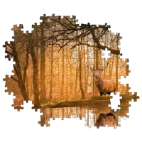 Puzzle Clementoni The Forest 9+/ Numărul de piese: 500 photo 3