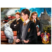 Puzzle Clementoni Harry Potter 10+/ Numărul de piese: 1000