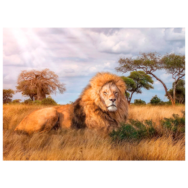 Puzzle Clementoni Lion King 9+/ Количество деталей: 1000 photo 1