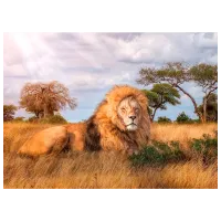 Puzzle Clementoni Lion King 9+/ Количество деталей: 1000