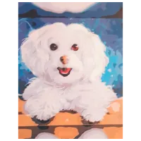 Картина по номерам ChiToys BFB0645  50 x 40 см / Вертикальная