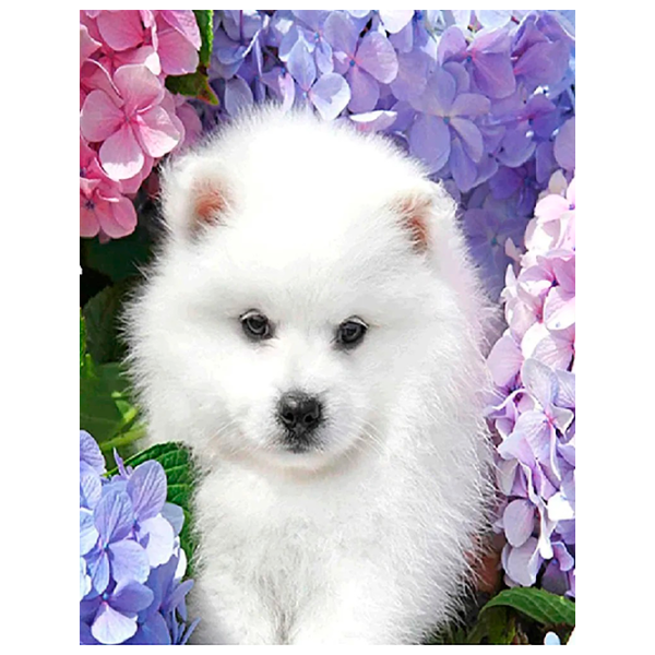 Картина по номерам ChiToys BFB0816  50 x 40 см / Вертикальная photo 1