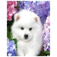 Картина по номерам ChiToys BFB0816  50 x 40 см / Вертикальная