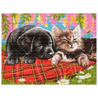 Картина по номерам ChiToys BFB1088  50 x 40 см / Горизонтальная