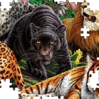 Puzzle Clementoni Wild cats 14+/ Numărul de piese: 500 photo 5