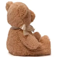 Jucărie moale Gund Animals My First Teddy 6055515 0+ / Brown photo 3
