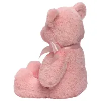 Jucărie moale Gund Animals My First Teddy 6055513 0+ / Pink photo 2