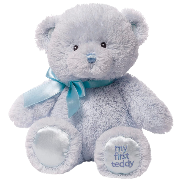 Мягкая игрушка Gund Animals My First Teddy 6055511 0+ / Синий photo 1