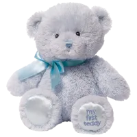 Мягкая игрушка Gund Animals My First Teddy 6055511 0+ / Синий