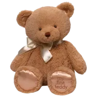 Мягкая игрушка Gund Animals My First Teddy 6048630 3+ / Коричневый